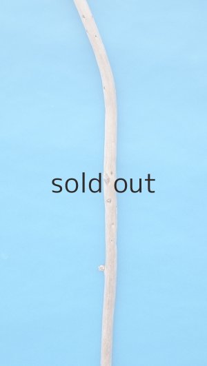 画像3: 棒流木・長尺