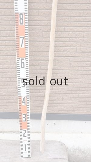 画像5: 棒流木・長尺