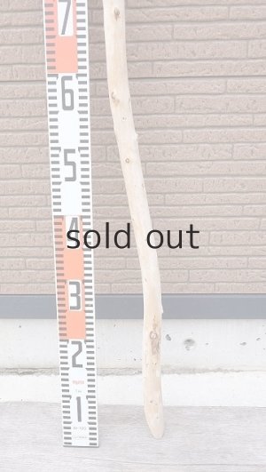 画像5: 棒流木・長尺