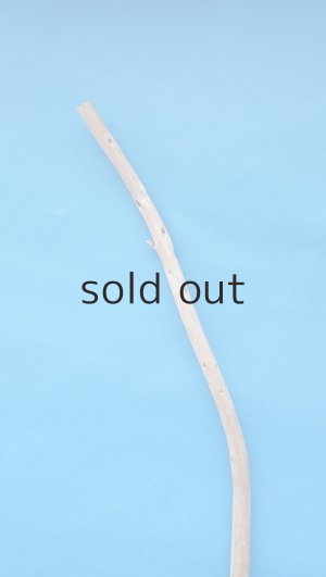 画像4: 棒流木・長尺