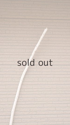 画像4: 棒流木・長尺