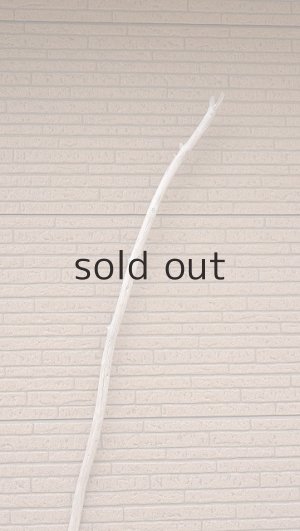 画像4: 棒流木・長尺