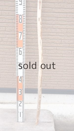 画像5: 棒流木・長尺