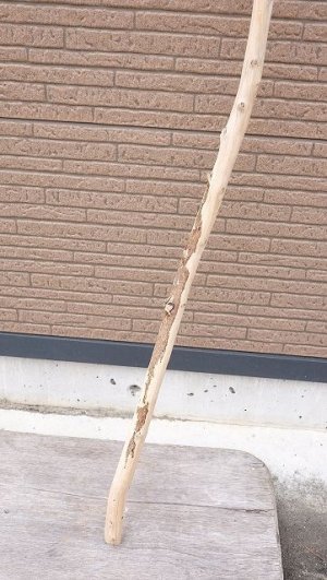 画像2: 棒流木・長尺