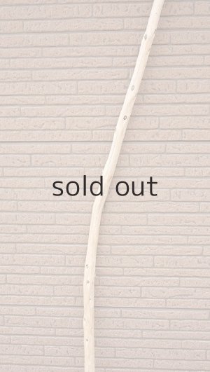 画像3: 棒流木・長尺