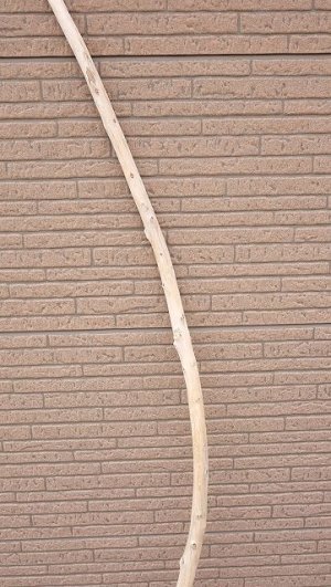 画像3: 棒流木・長尺