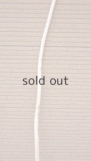 画像3: 棒流木・長尺