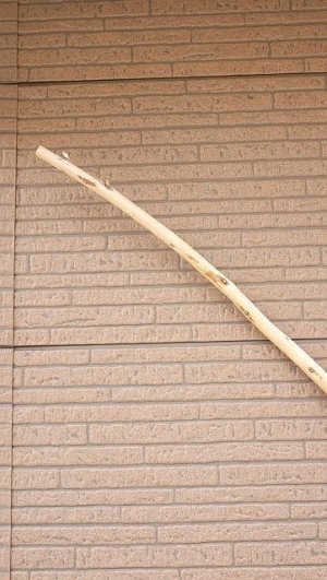 画像5: 棒流木・長尺