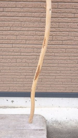 画像2: 棒流木・長尺