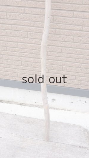 画像2: 棒流木・長尺