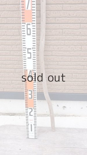 画像5: 棒流木・長尺