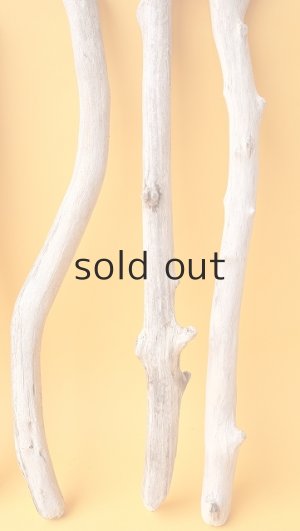 画像6: 小枝流木セット