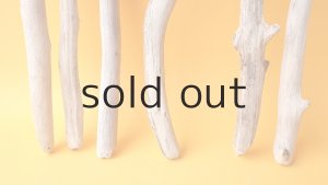 画像2: 小枝流木セット