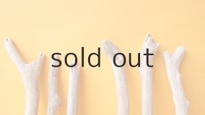 画像4: 小枝流木セット