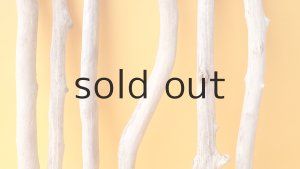 画像3: 小枝流木セット