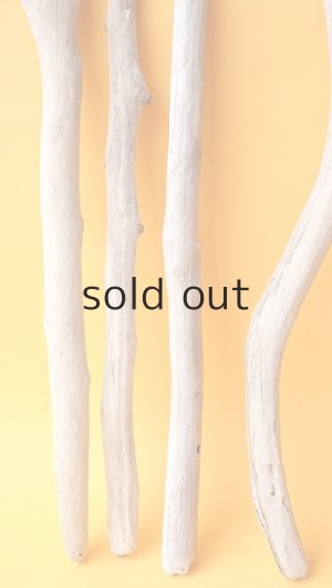 画像5: 小枝流木セット