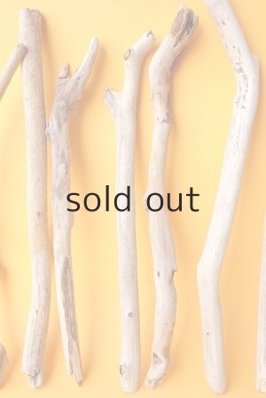 画像6: 小枝流木セット