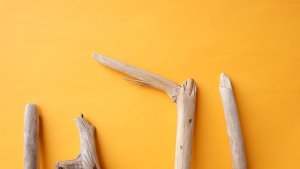 画像4: 小枝流木セット