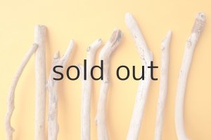 画像3: 小枝流木セット