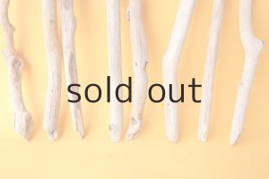 画像2: 小枝流木セット