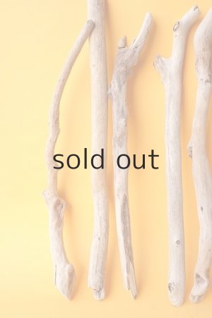 画像4: 小枝流木セット