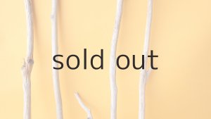 画像3: 小枝流木セット