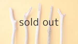 画像4: 小枝流木セット