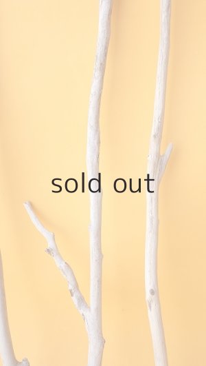 画像6: 小枝流木セット