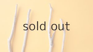 画像4: 小枝流木セット