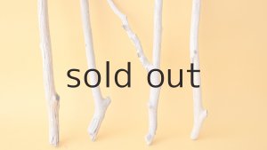 画像2: 小枝流木セット