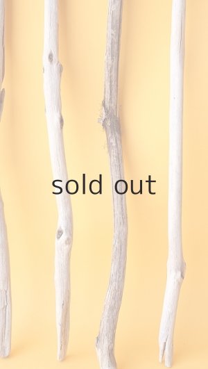 画像6: 小枝流木セット