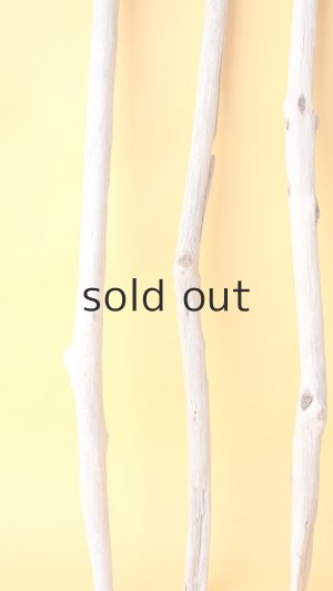 画像5: 小枝流木セット