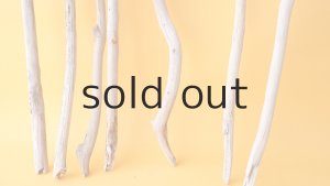 画像2: 小枝流木セット