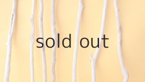 画像3: 小枝流木セット