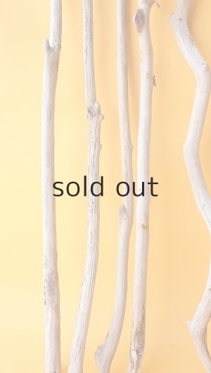 画像5: 小枝流木セット