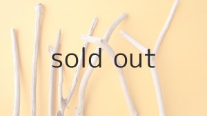 画像4: 小枝流木セット