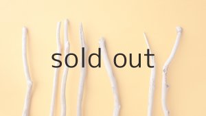 画像4: 小枝流木セット