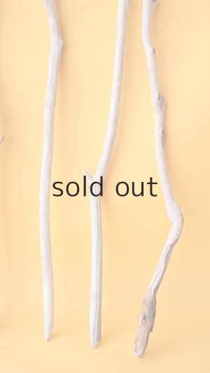 画像6: 小枝流木セット