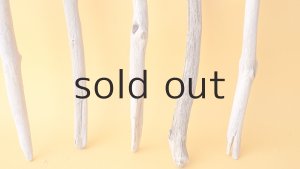 画像2: 小枝流木セット