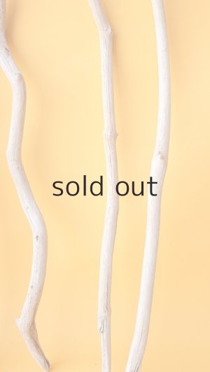 画像6: 小枝流木セット