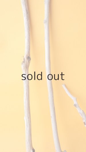 画像5: 小枝流木セット