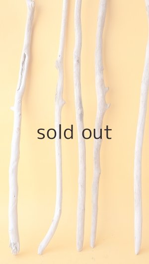 画像5: 小枝流木セット