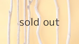 画像3: 小枝流木セット