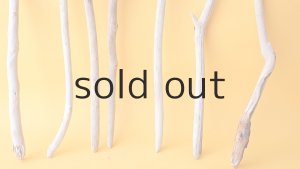 画像2: 小枝流木セット