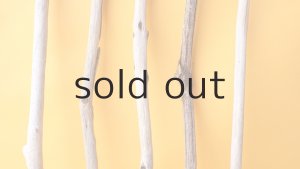 画像3: 小枝流木セット