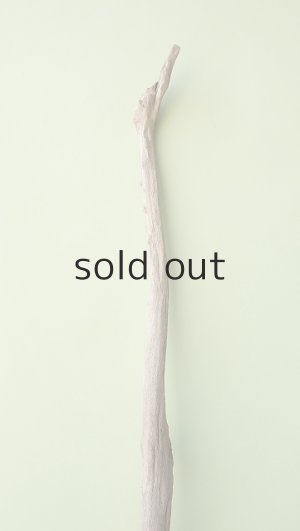 画像4: 流木根（中型）