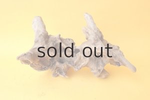 画像5: 変形流木