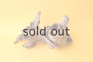 画像1: 変形流木