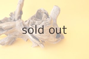 画像3: 変形流木