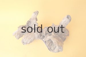 画像2: 変形流木